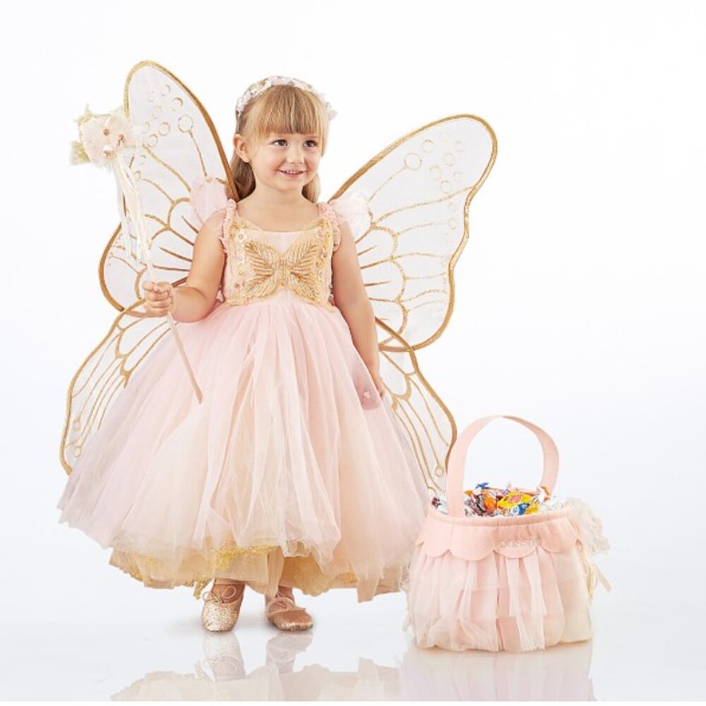 Pottery Barn Pink Butterfly Fairy Halloween Costume